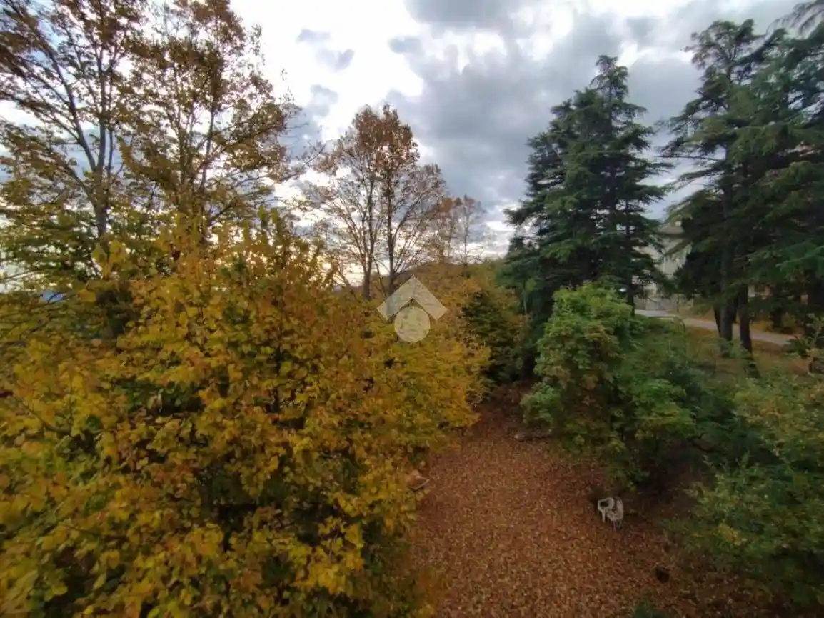 Palazzo - Edificio - foto 5