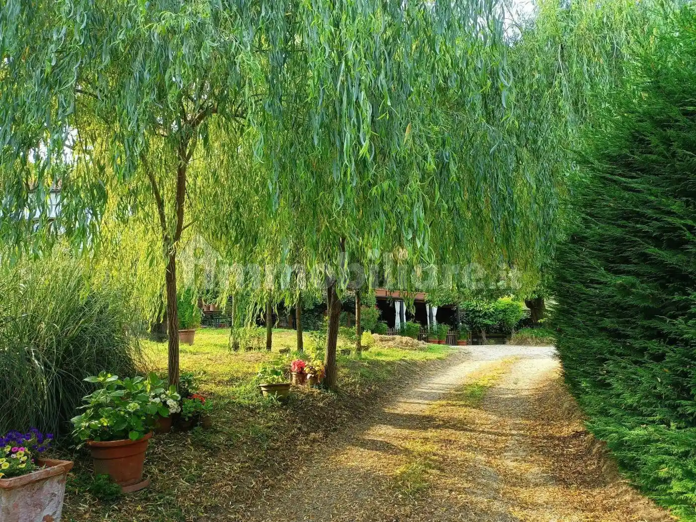 Villa unifamiliare Località Vallarone, Corso Alba - Variglie, Asti - foto 2