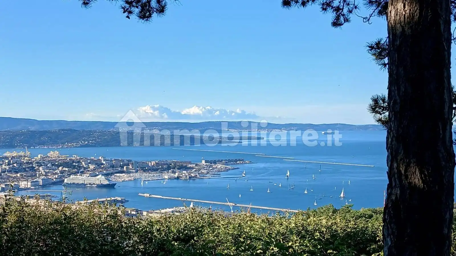 Villa in vendita a Trieste