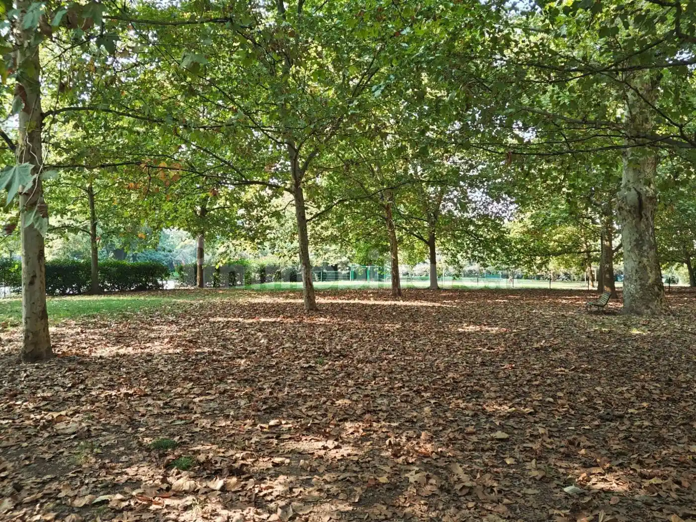 Trilocale viale Cassiodoro, Sempione, Milano - foto 4