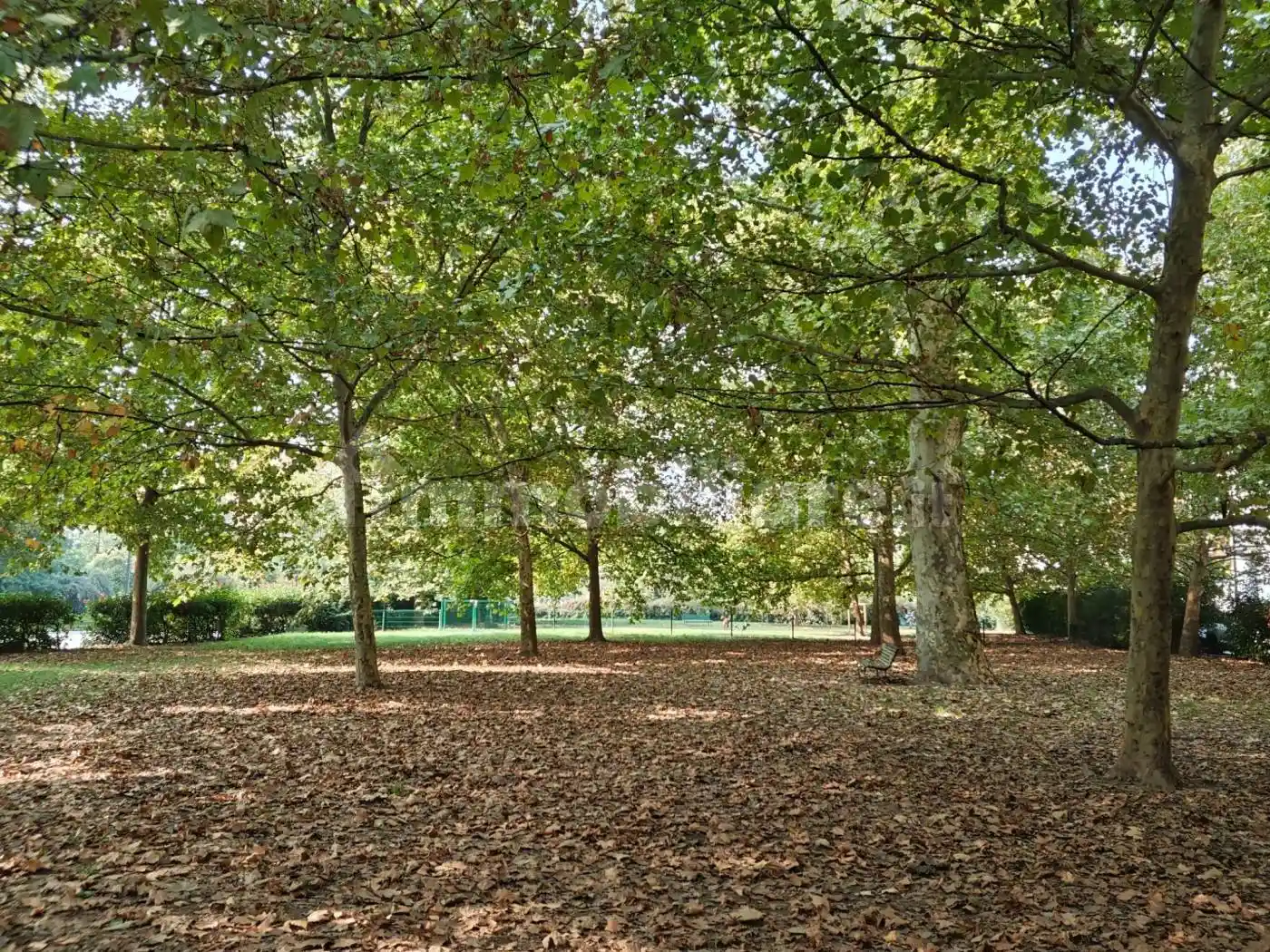 Trilocale viale Cassiodoro, Sempione, Milano - foto 5