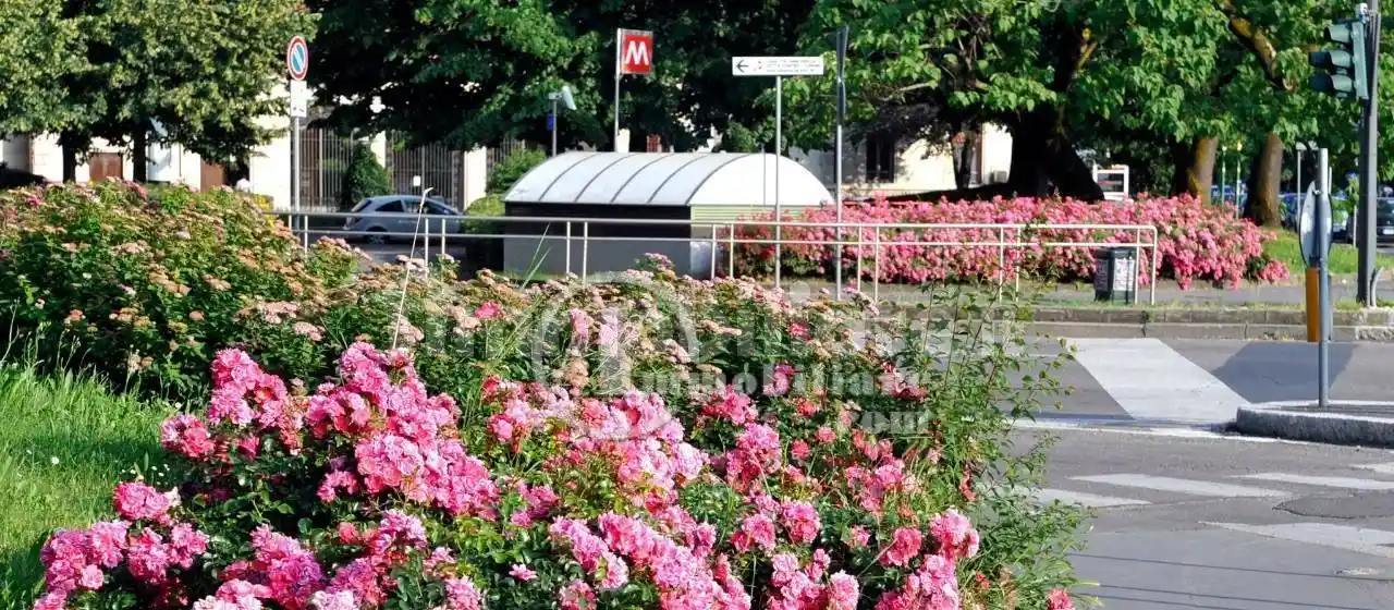 Bilocale 80 m², Bande Nere, Milano - foto 2