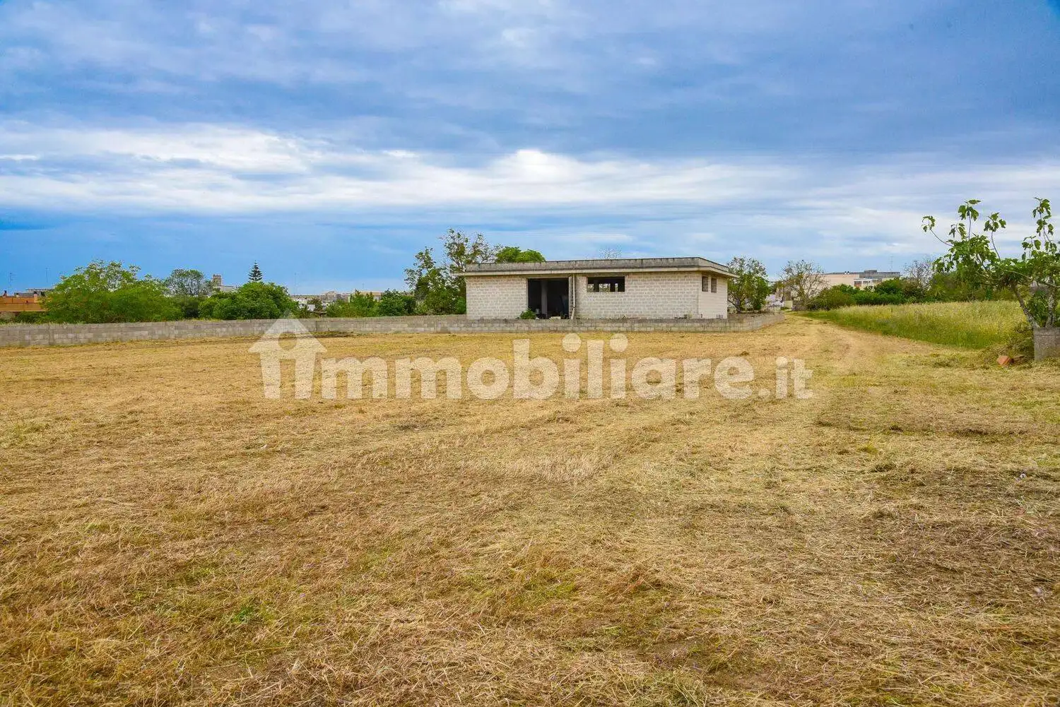 Rustico - Casale in vendita a Carpignano Salentino