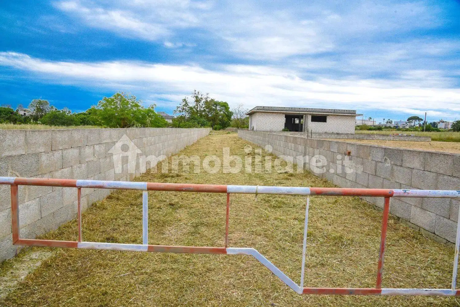 Rustico via San Pasquale, 16, Centro, Carpignano Salentino - foto 3