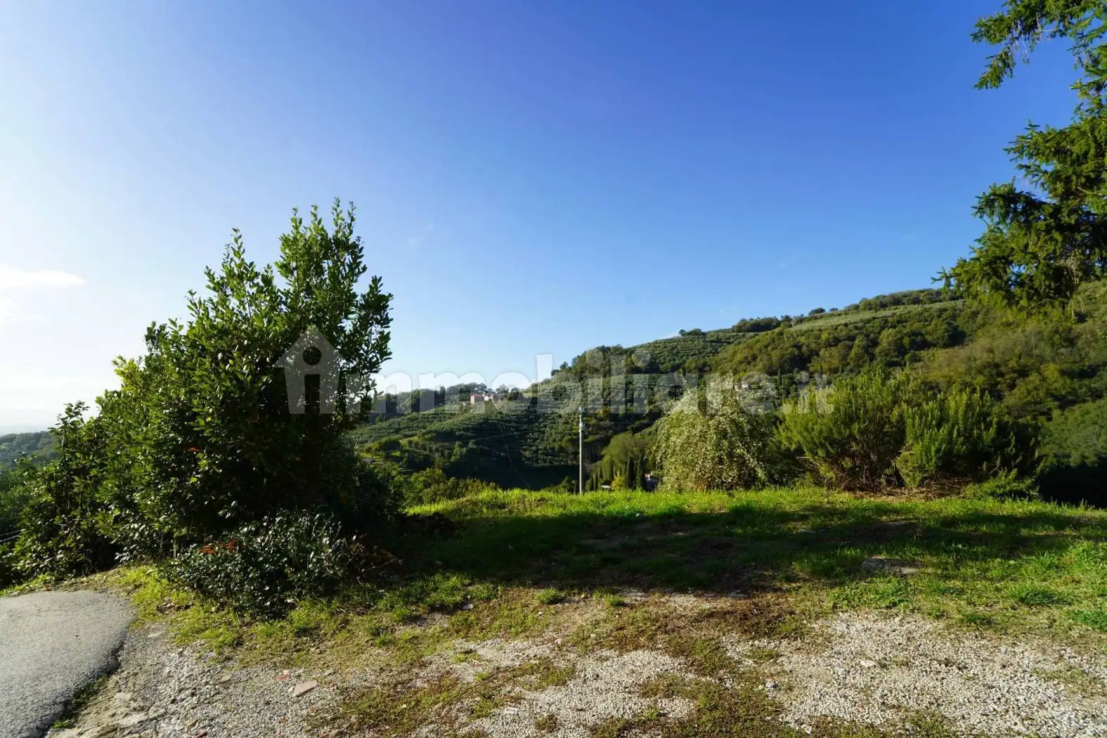 Casa indipendente in vendita a Larciano