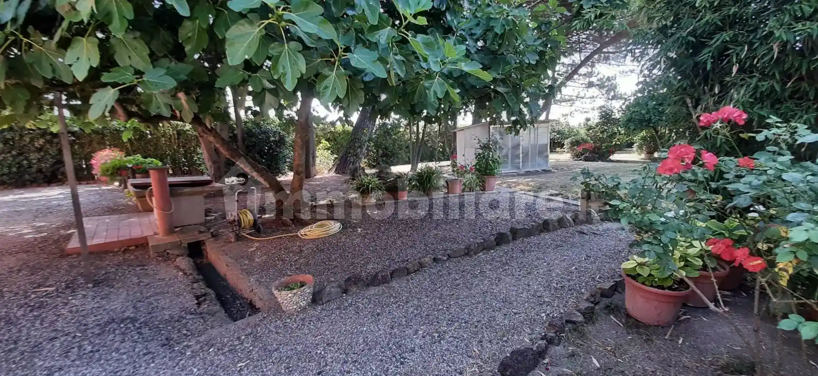 Villa in vendita a Rosignano Marittimo