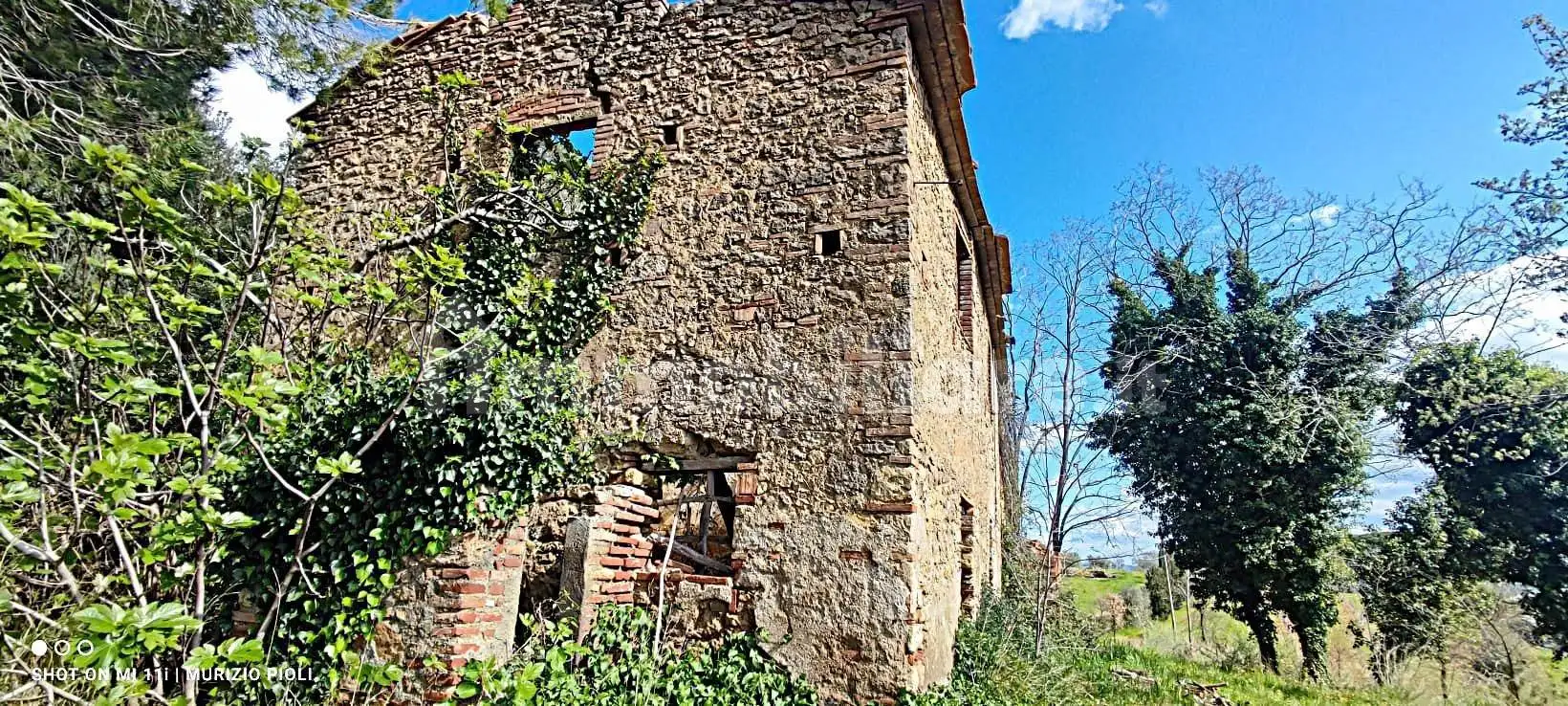 Rustico - Casale in vendita a Riparbella