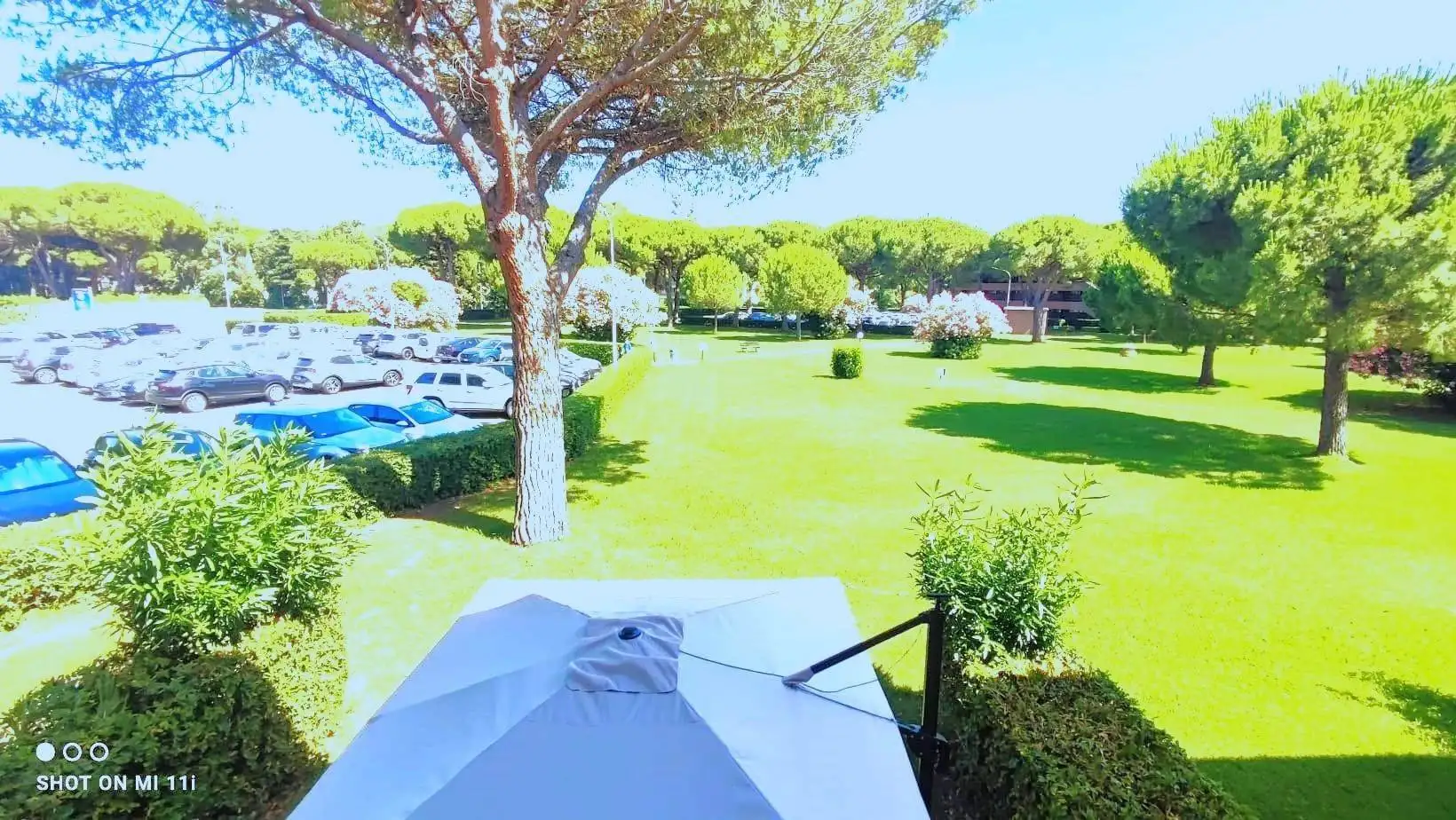 Appartamento in vendita a Bibbona