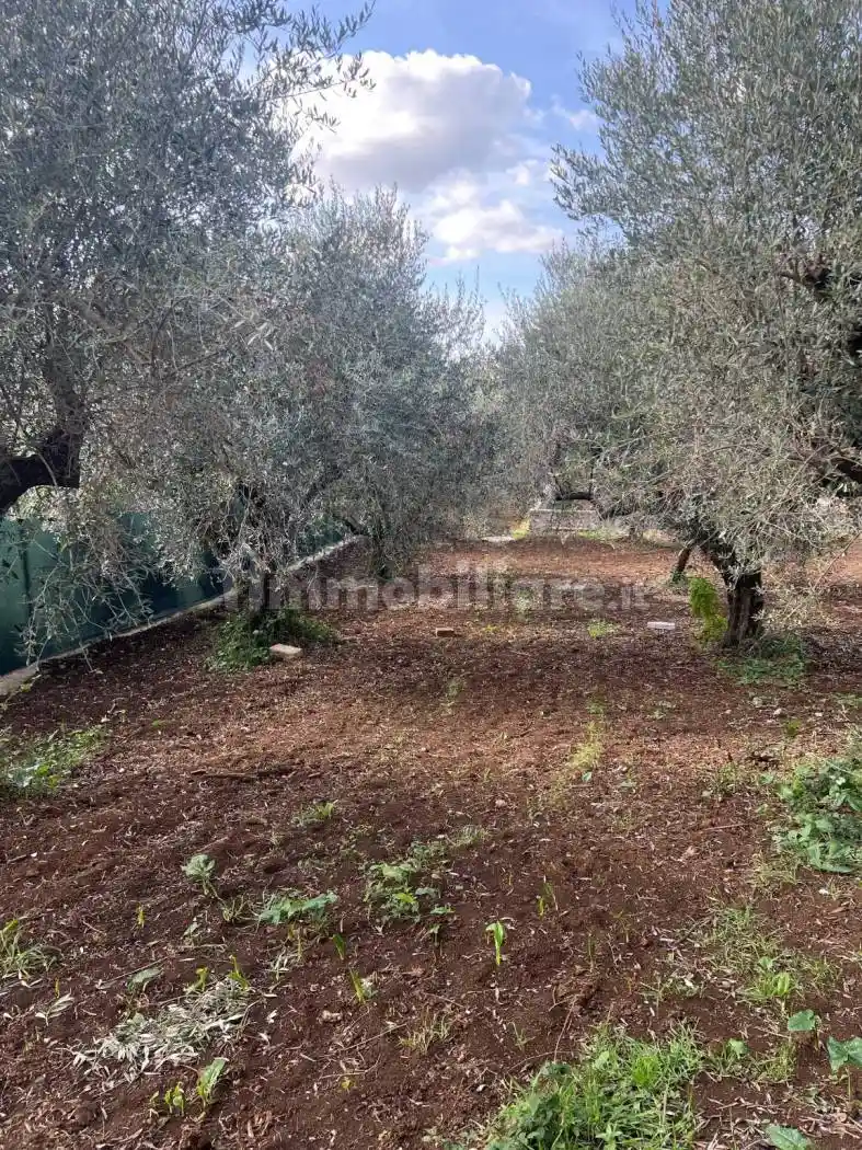 Villa in vendita a Lanuvio