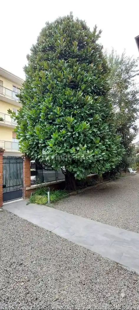 Appartamento in villa via Alfonso Casoli 61, San Cataldo, Modena - foto 3