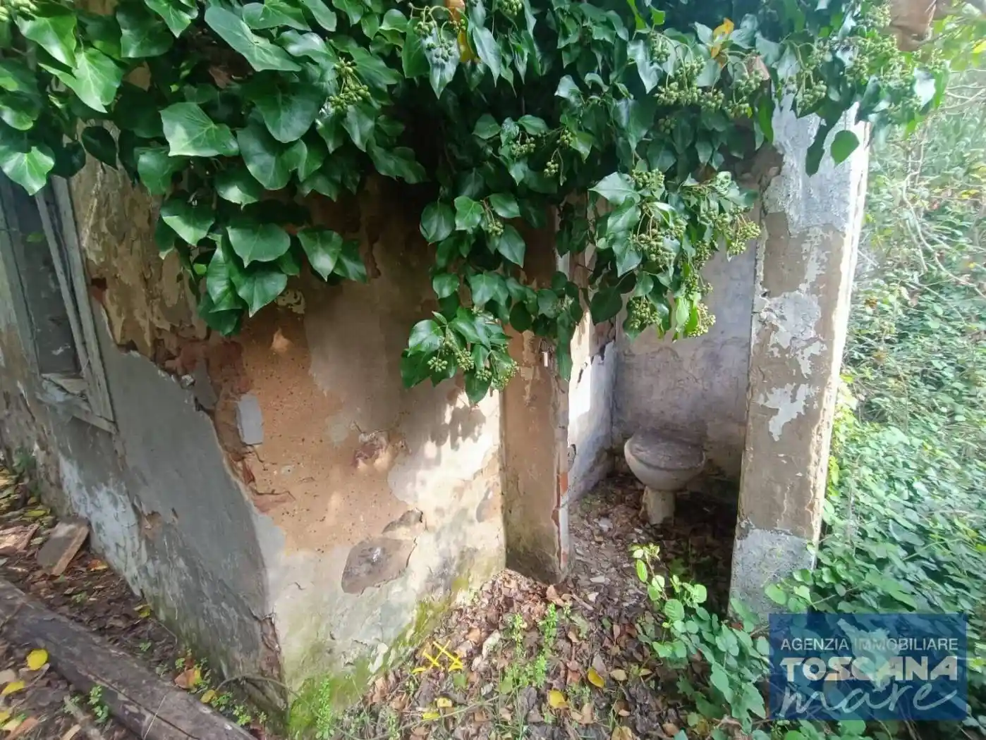 Rustico - Casale in vendita a Castagneto Carducci