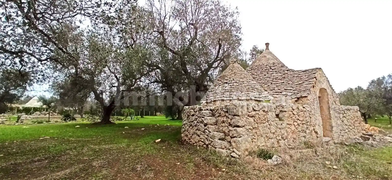 Rustico - Casale in vendita a Francavilla Fontana