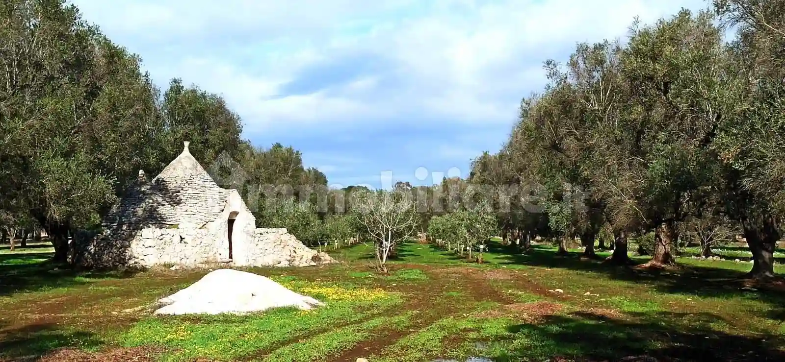 Rustico - Casale - foto 2