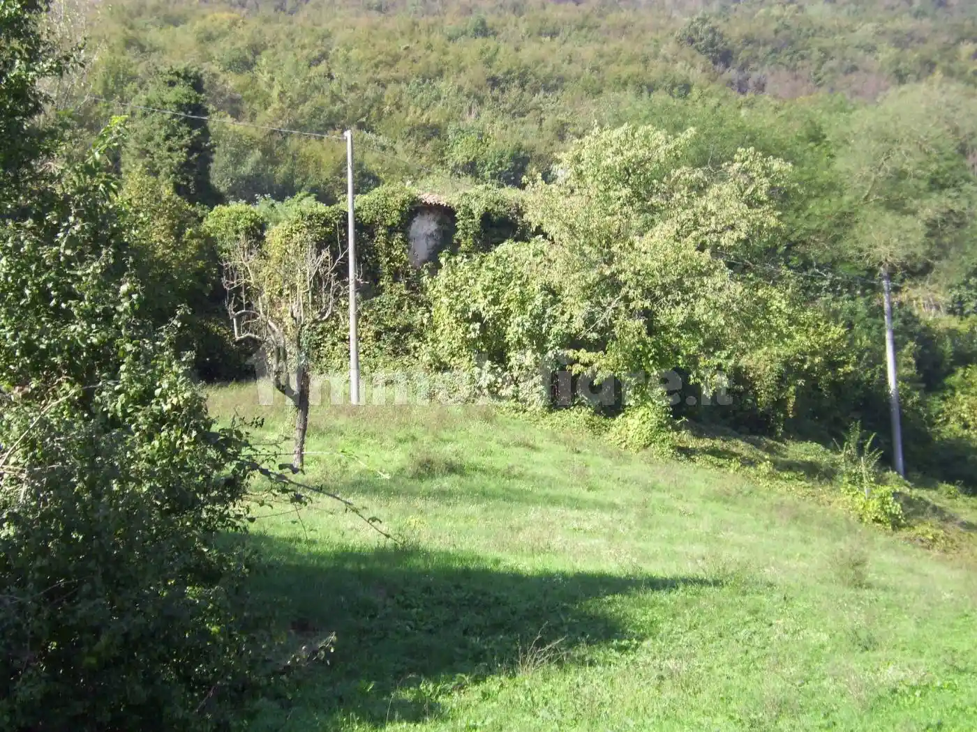 Rustico Fimon via San Maria, Fimon, Arcugnano - foto 5