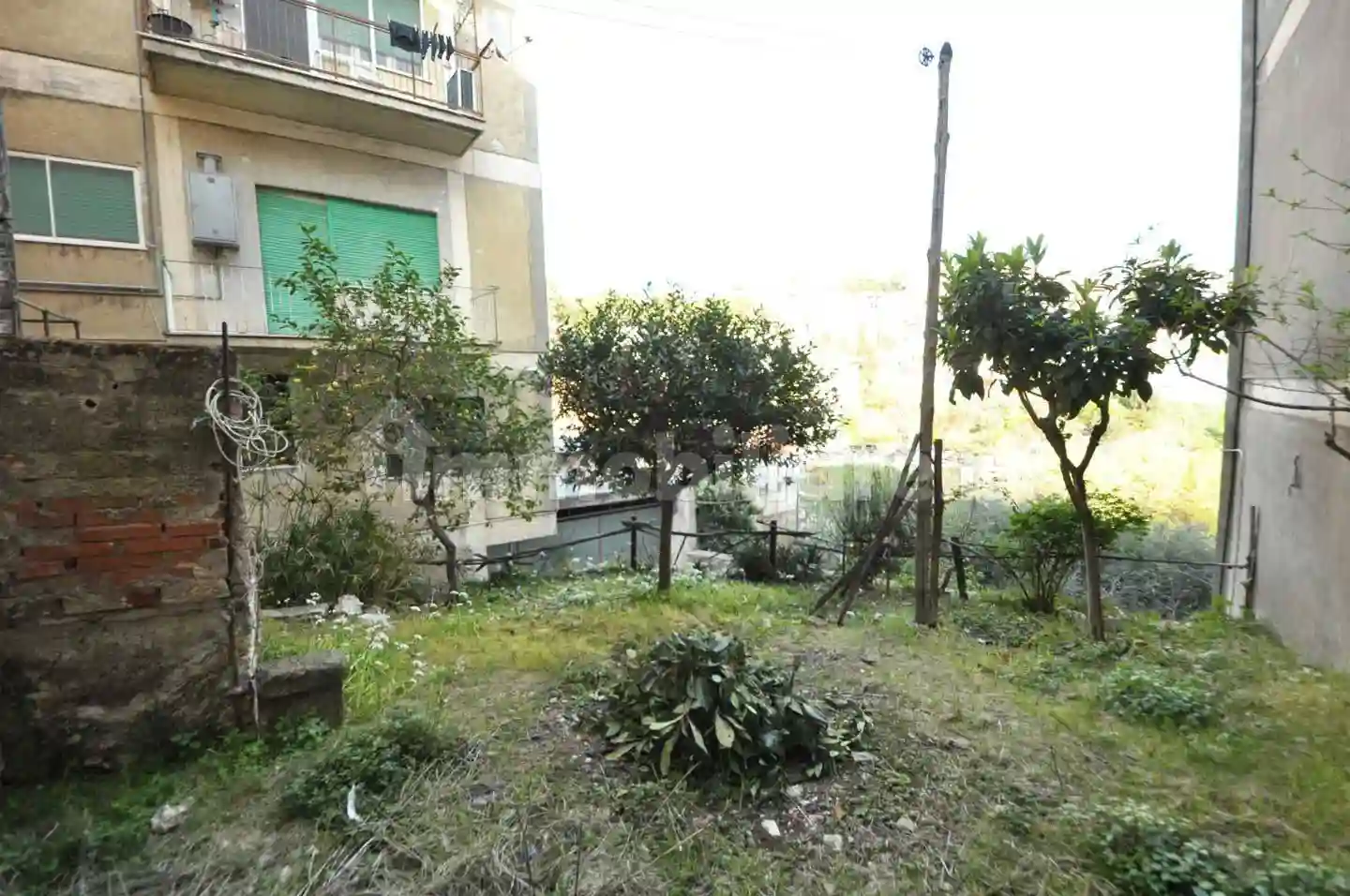 Palazzo - Edificio - foto 4