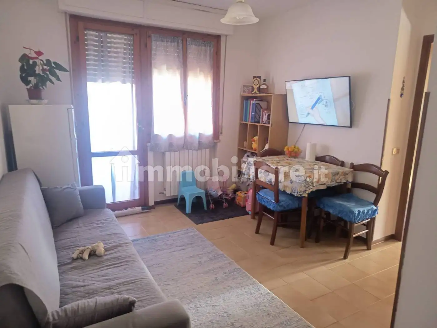 Appartamento in affitto a Pisa