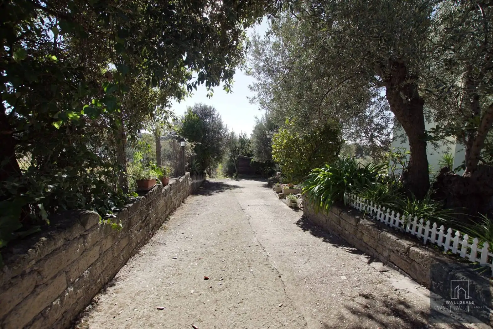 Villa unifamiliare via di Santa Fumia 1, Castel Gandolfo - foto 5