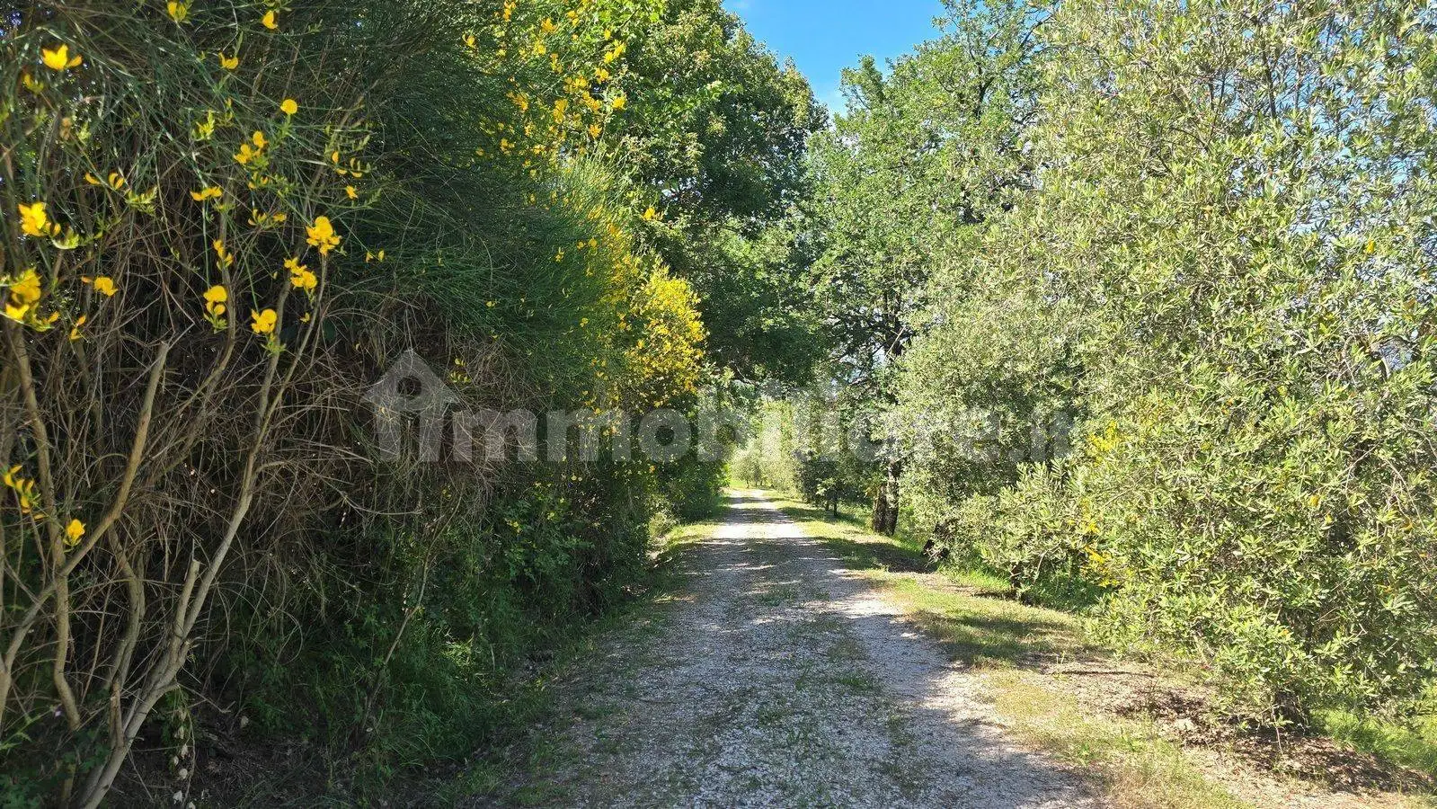 Casale via delle piane  snc, Centro, Castel Viscardo - foto 4