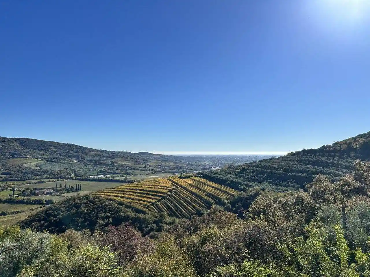 Terratetto unifamiliare via Prove, Montorio, Verona - foto 5