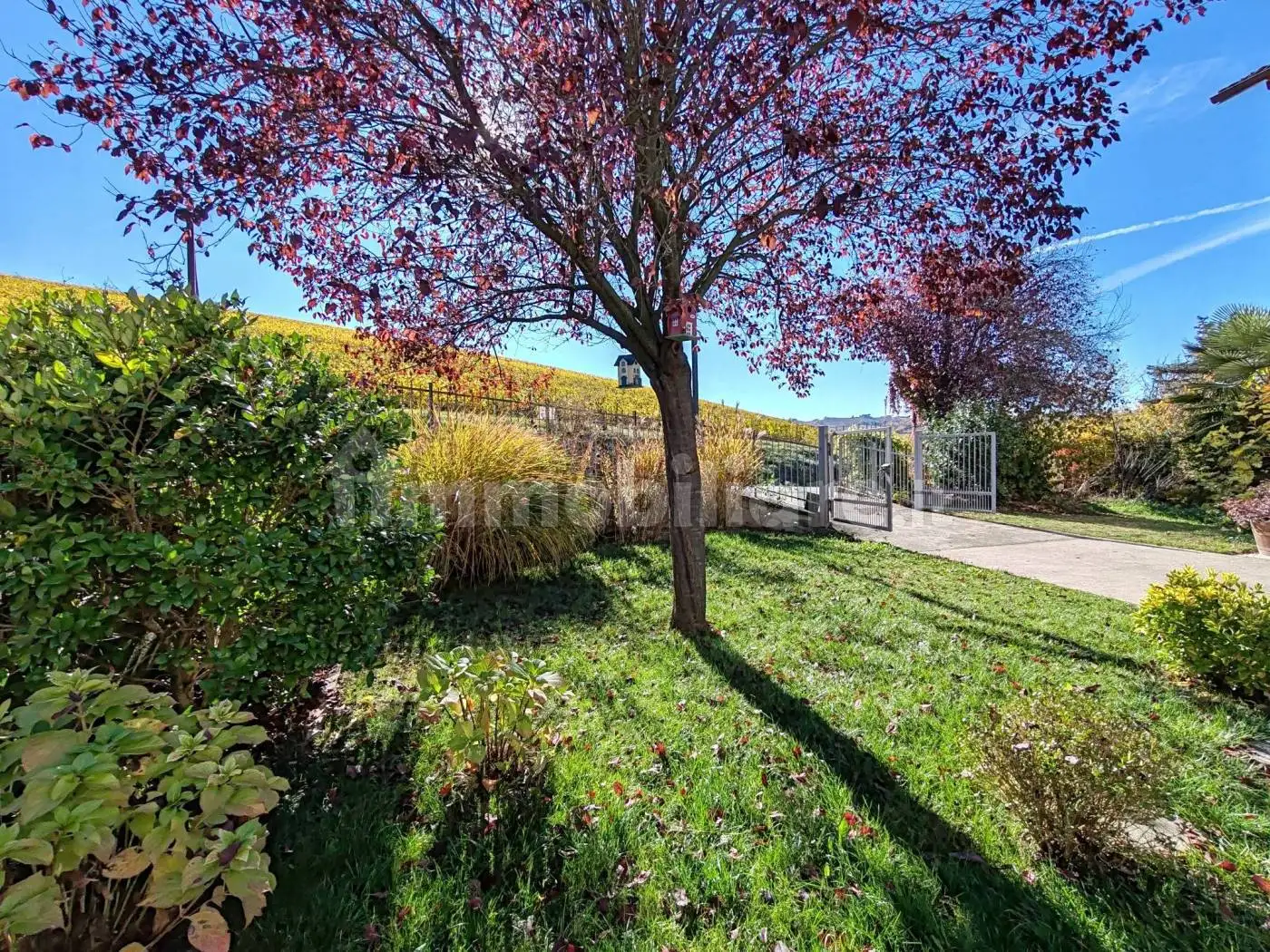 Quadrilocale Strada Pertinace 11, Barbaresco - foto 3