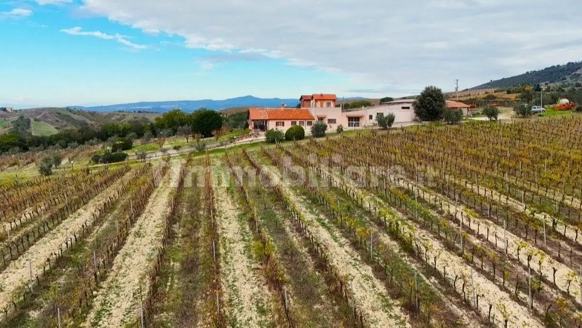 Villa in vendita a Montecchio