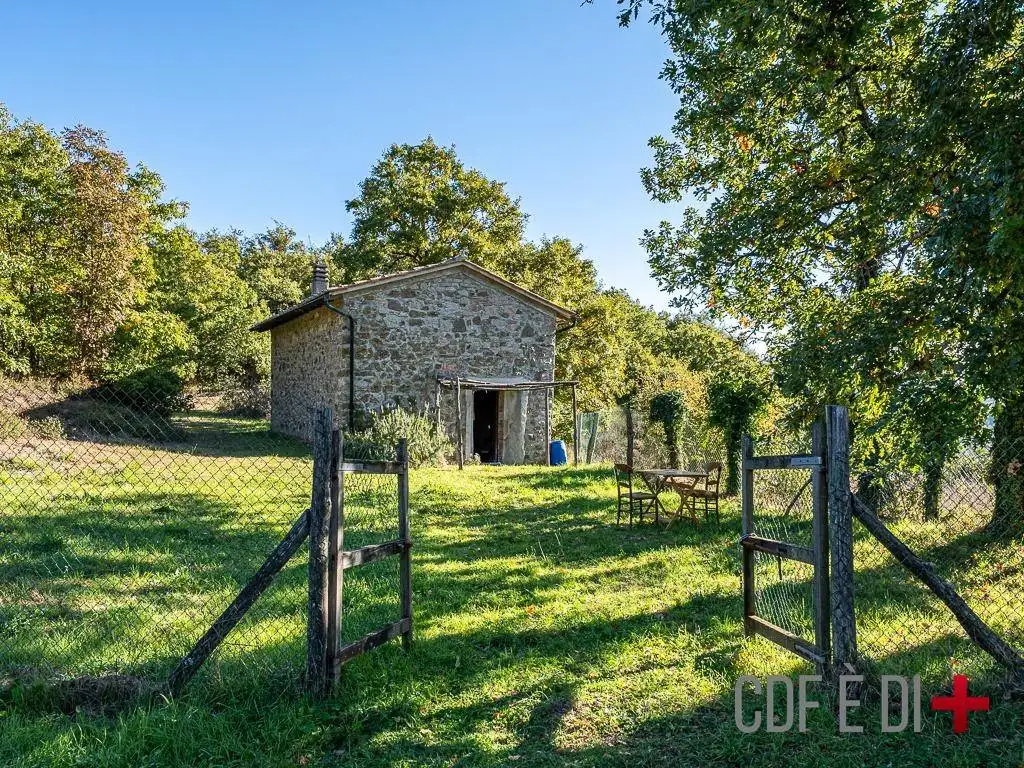 Rustico - Casale in vendita a Montieri