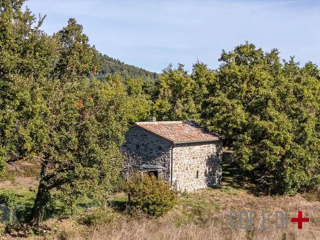 Casale Località Bocca di Sala, Montieri - foto 4