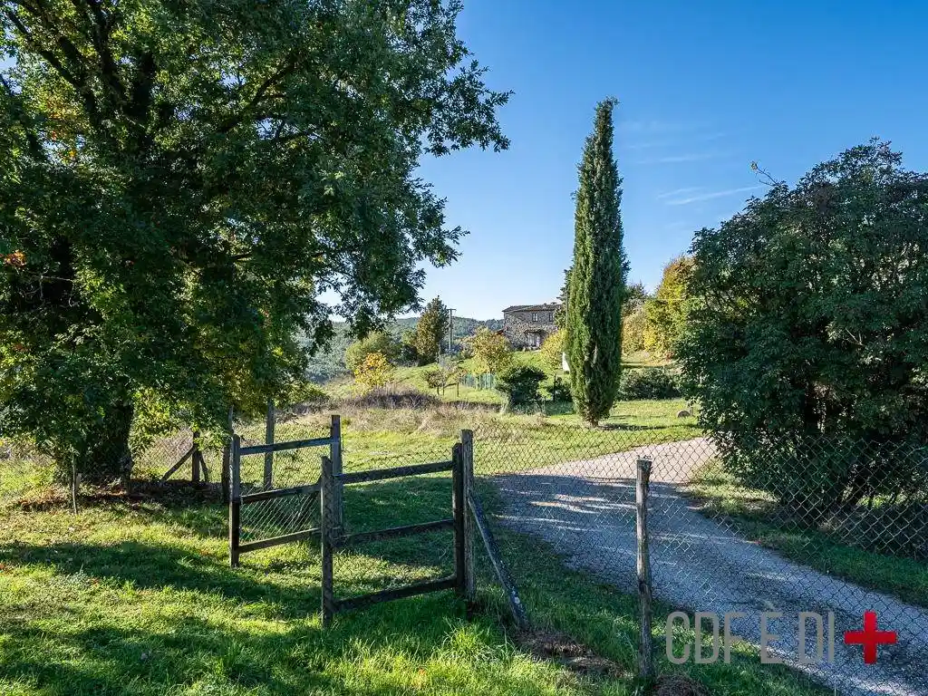 Casale Località Bocca di Sala, Montieri - foto 5