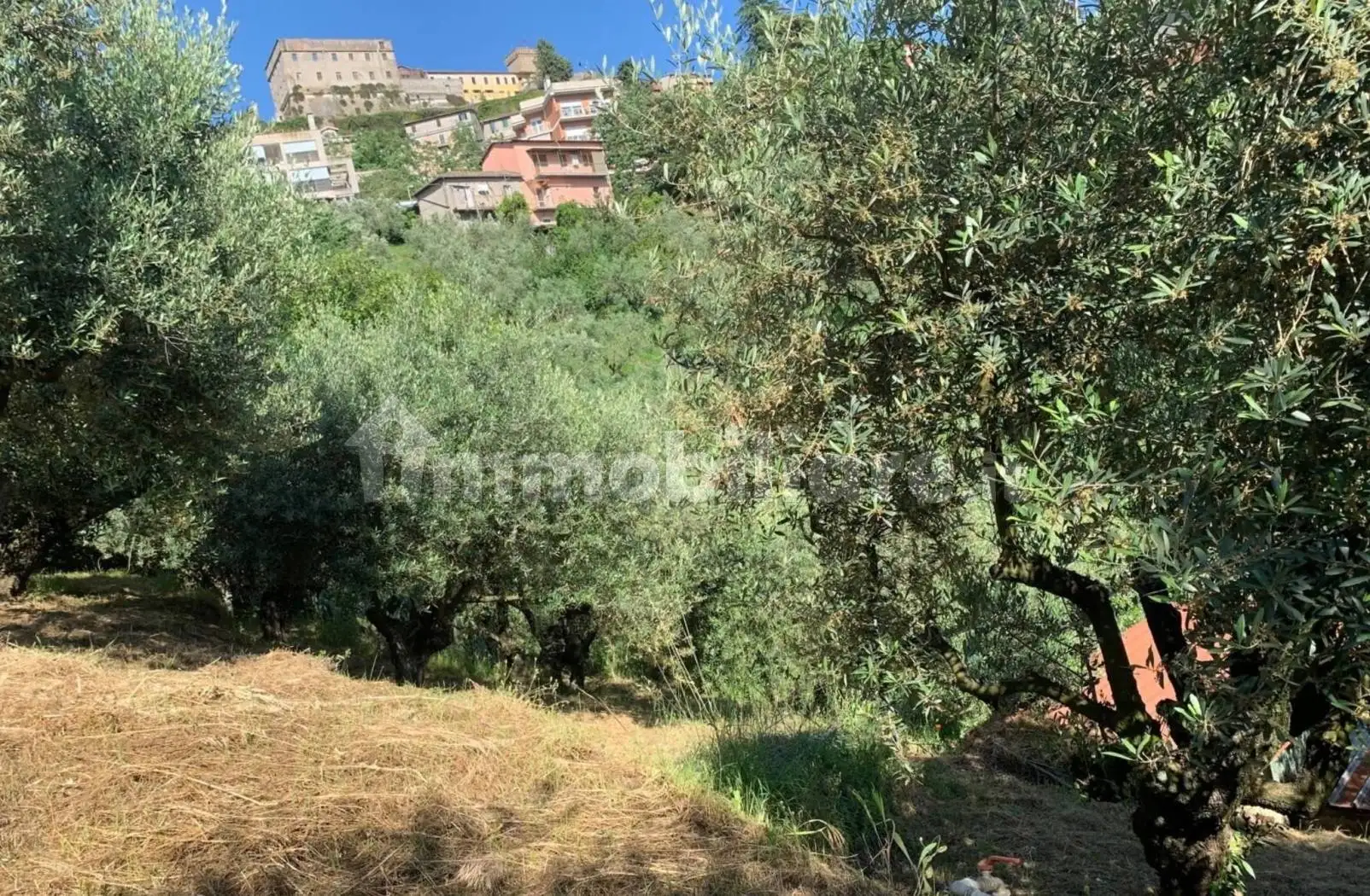 Rustico - Casale in vendita a Paliano