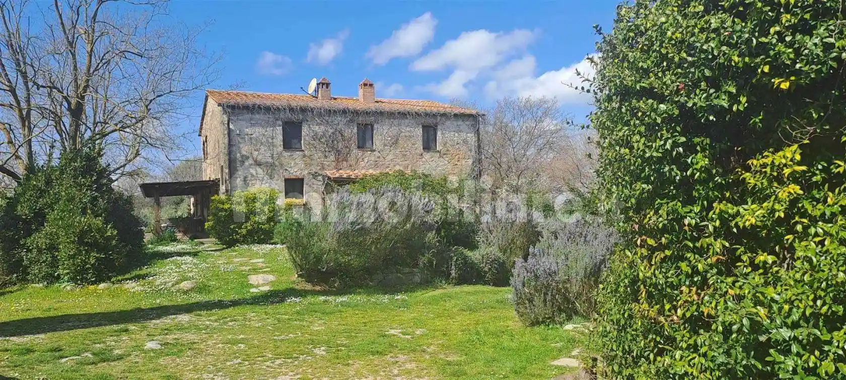 Rustico - Casale in vendita a Scansano