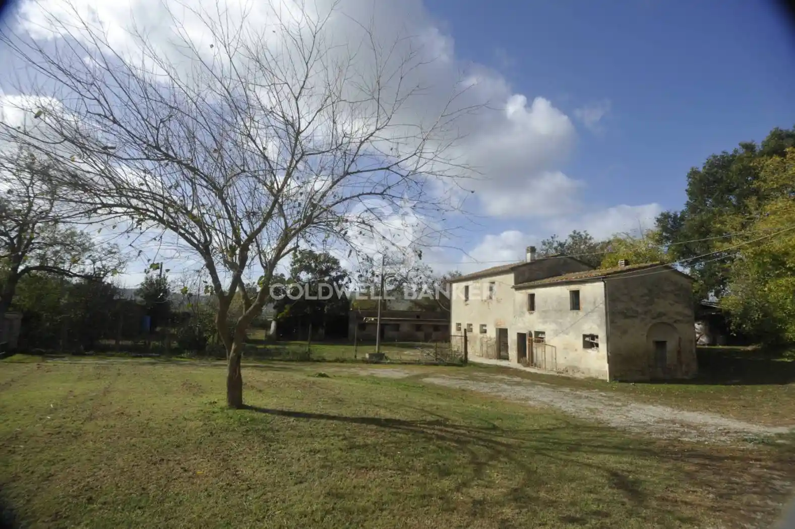 Rustico - Casale in vendita a Lucignano