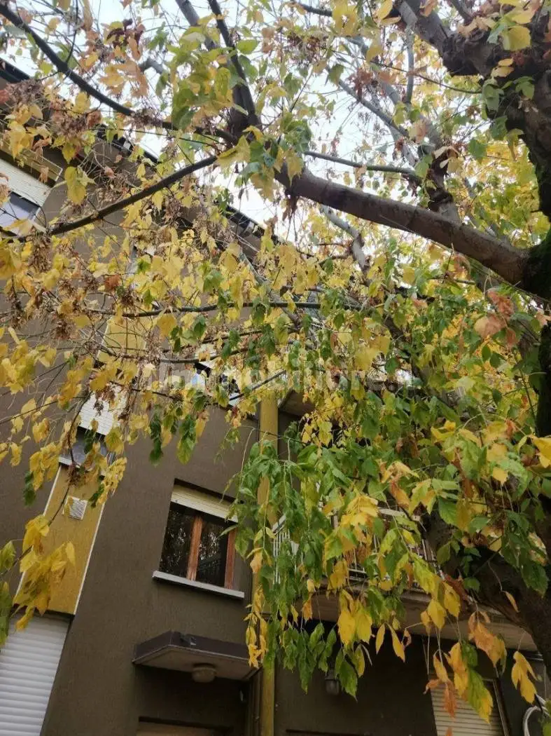 Appartamento in vendita a Poviglio