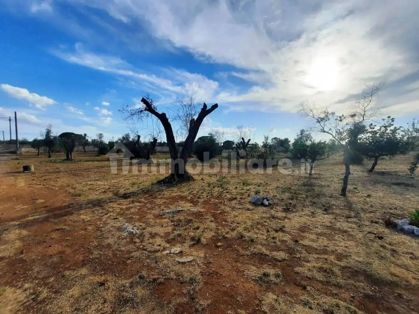 Villa unifamiliare Strada Vicinale Pelena No Number, Carpignano Salentino - foto 2