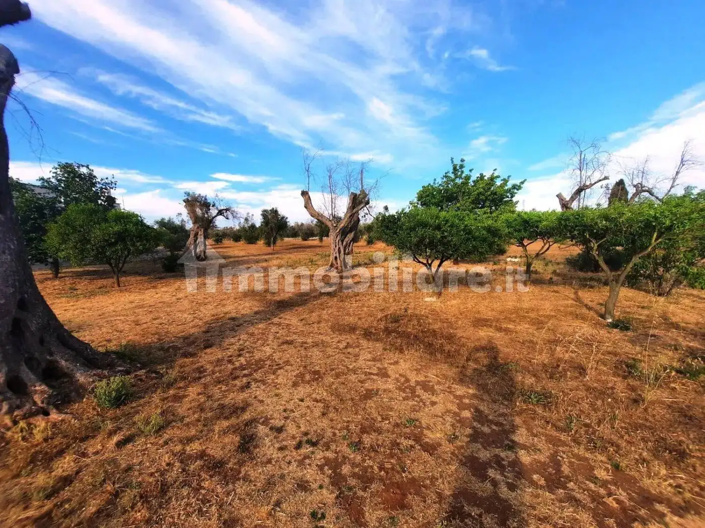 Villa unifamiliare Strada Vicinale Pelena No Number, Carpignano Salentino - foto 3