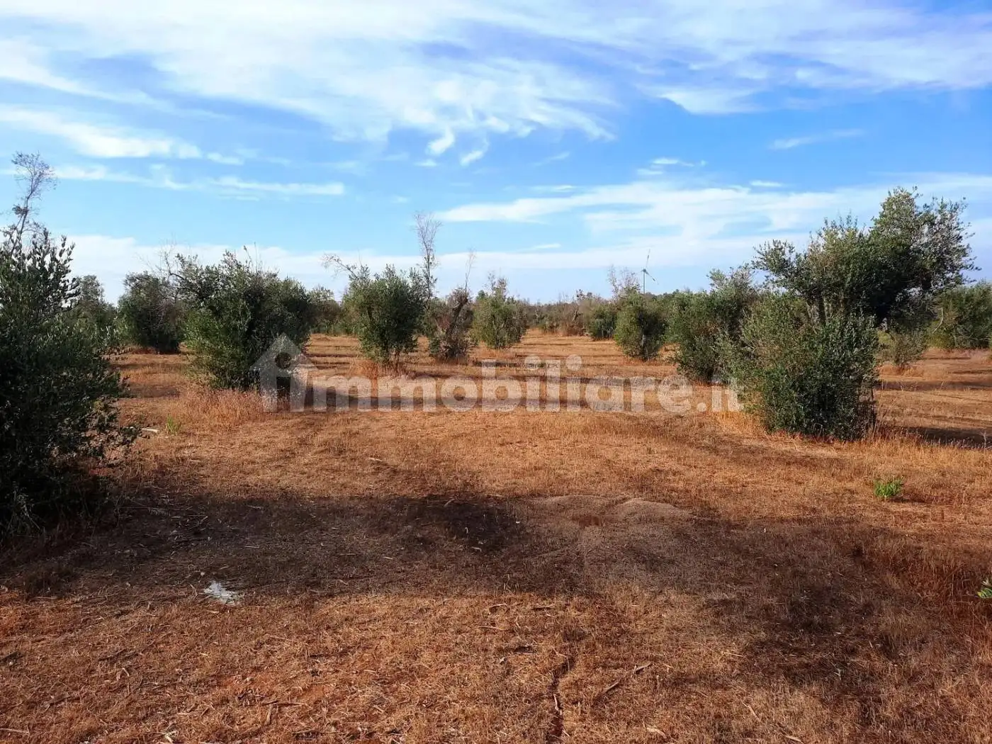 Villa unifamiliare Strada Vicinale Pelena No Number, Carpignano Salentino - foto 4