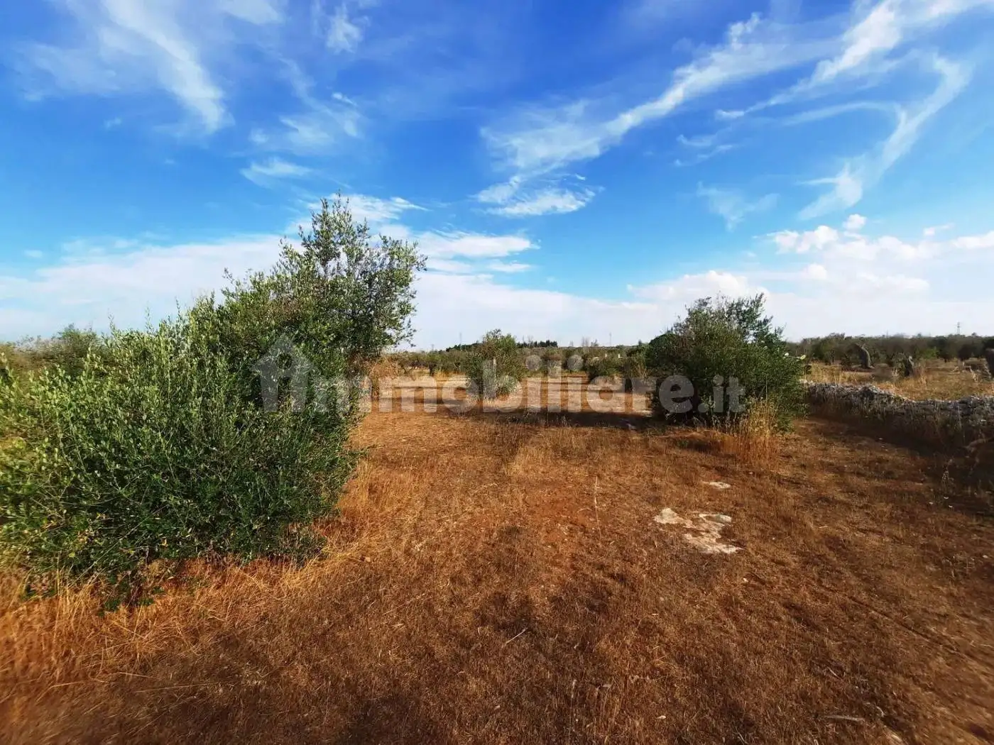 Villa unifamiliare Strada Vicinale Pelena No Number, Carpignano Salentino - foto 5