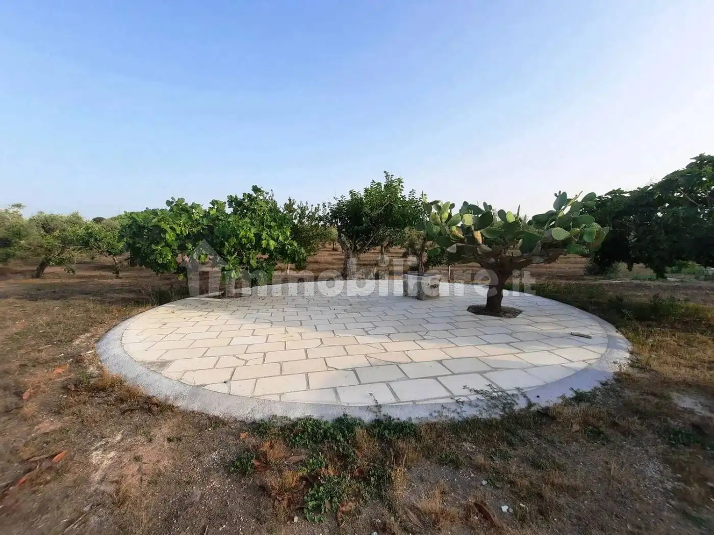 Villa unifamiliare Contrada Crea No Number, Centro, Carpignano Salentino - foto 4