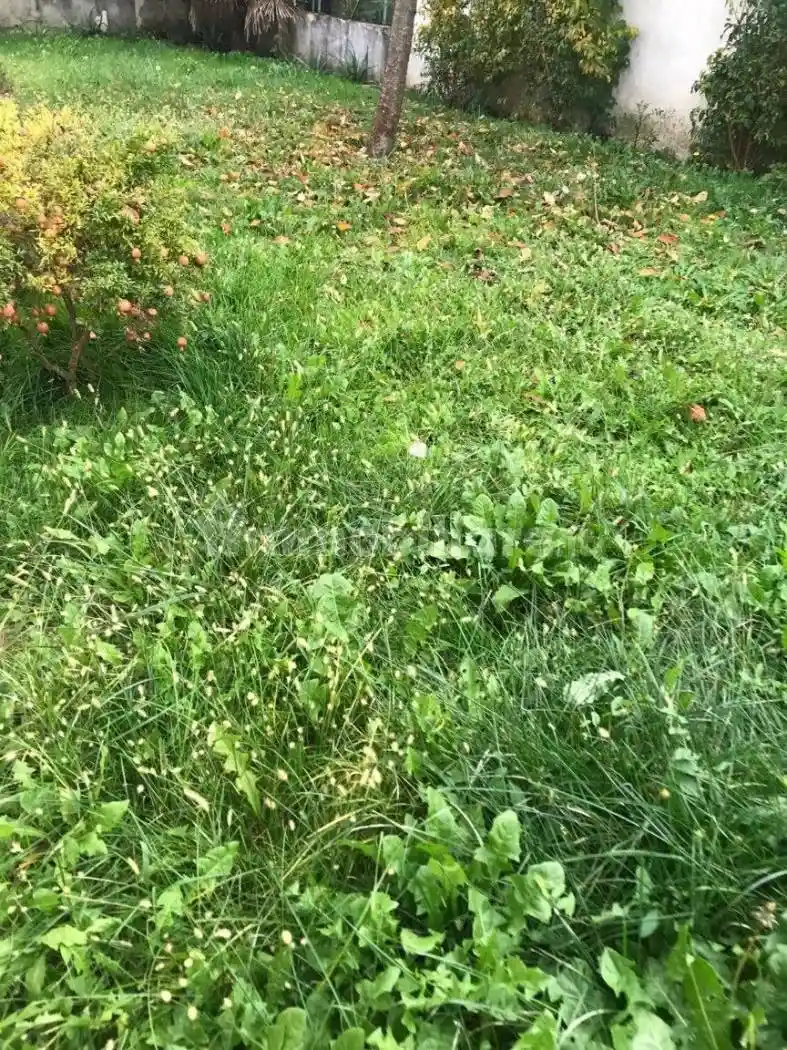 Villa in vendita a Treviso