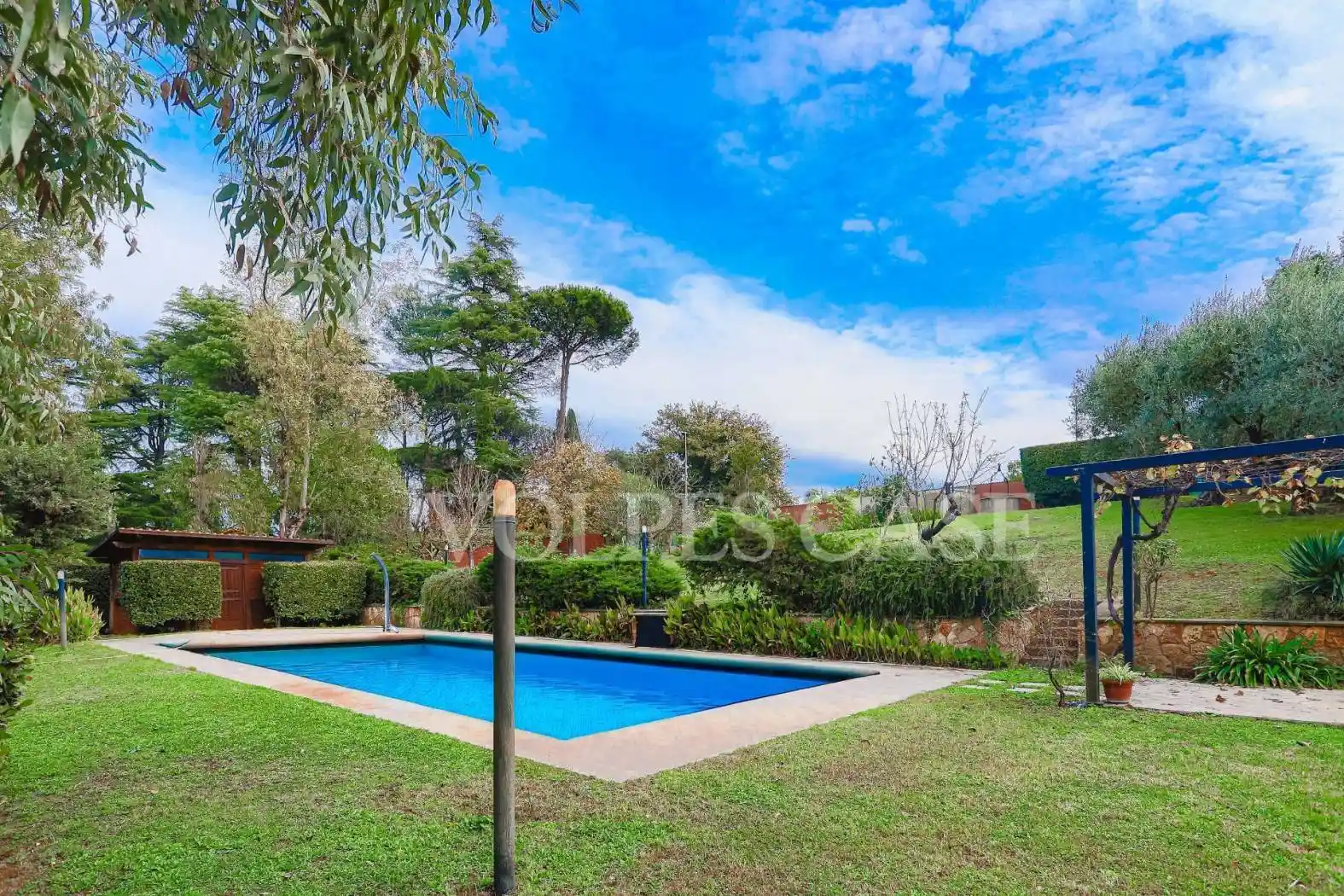 Villa bifamiliare via Italo Piccagli, La Giustiniana, Roma - foto 5