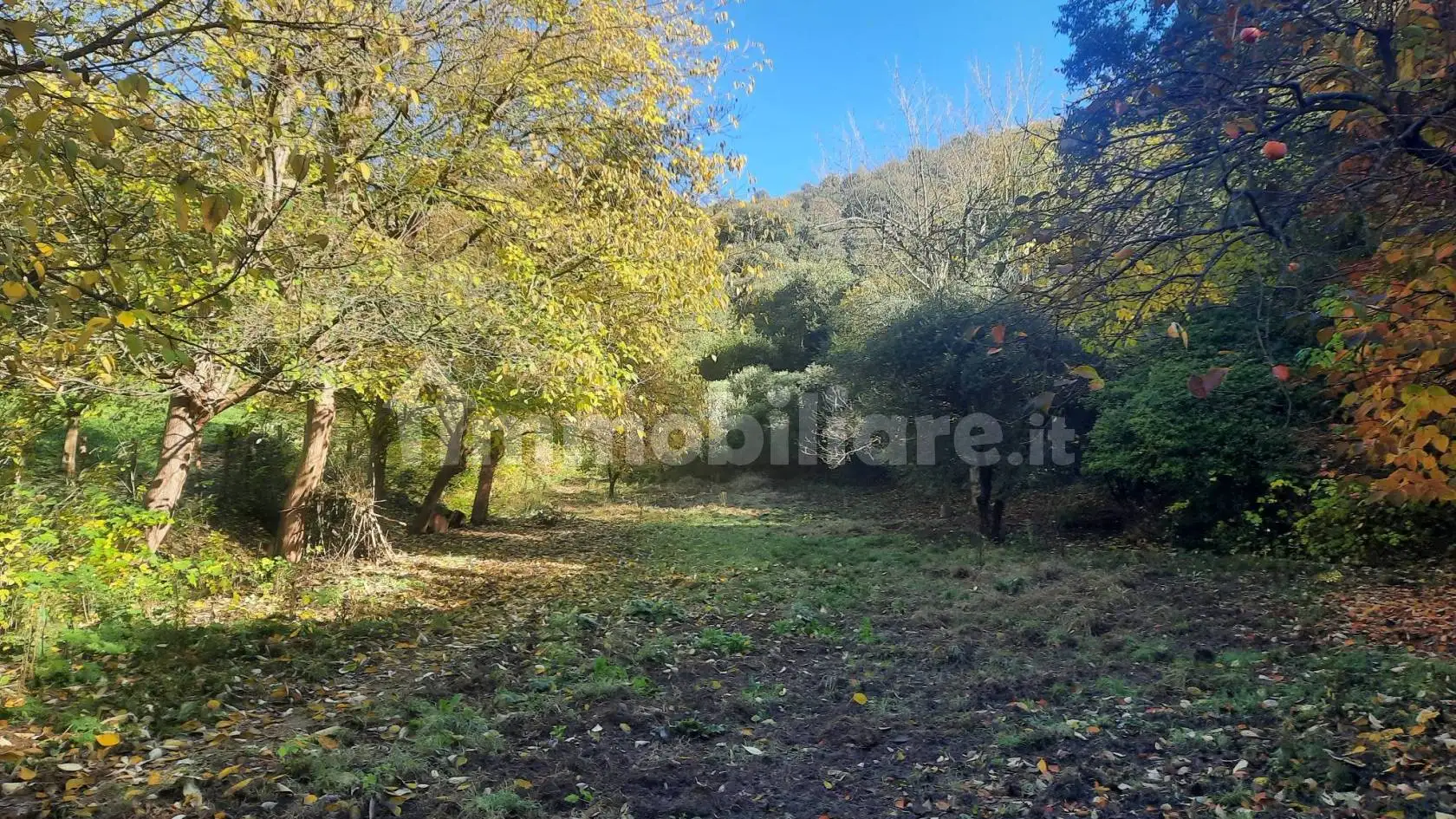 Rustico - Casale in vendita a Baone