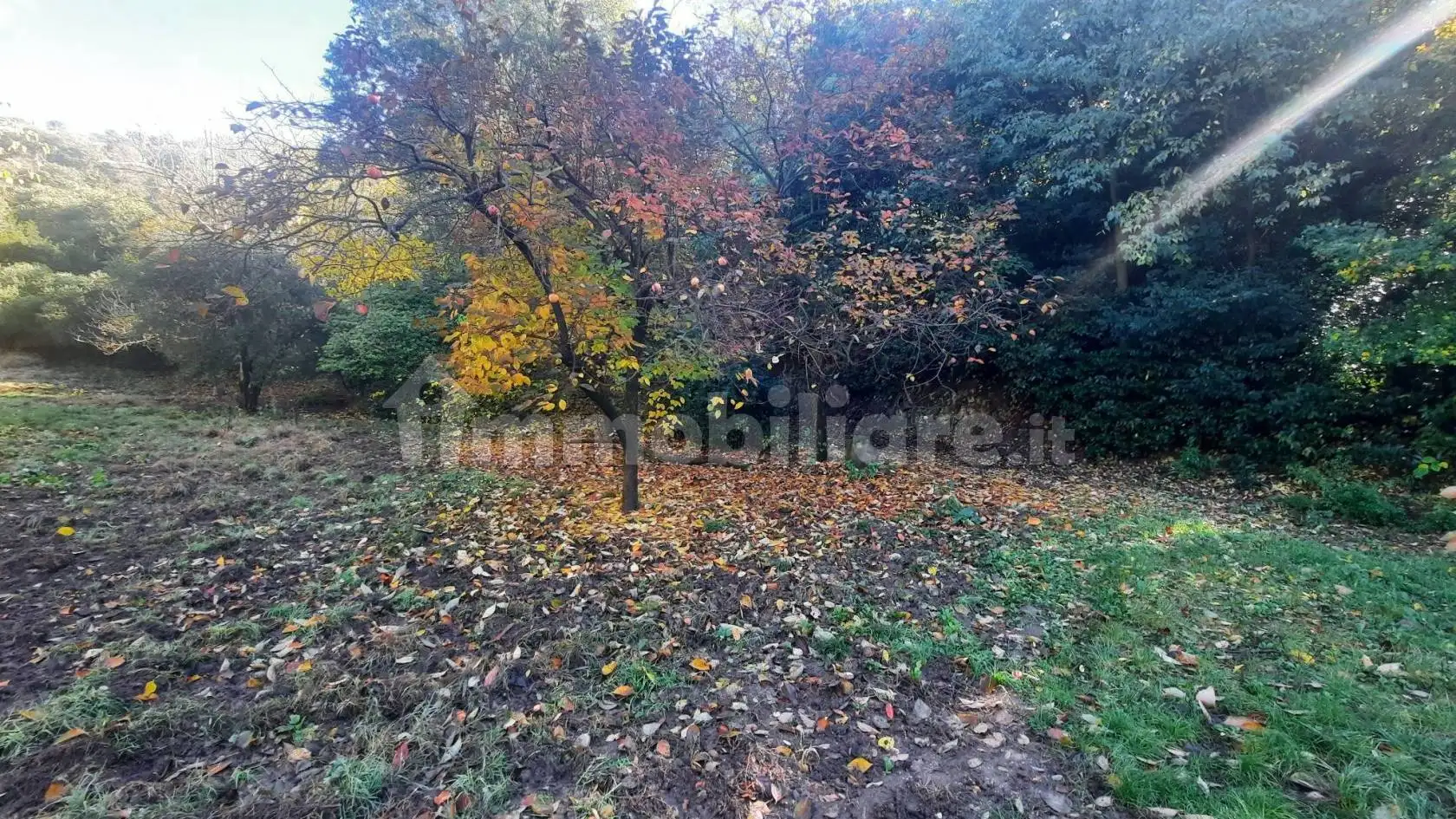 Rifugio via Ca' Orologio, Baone - foto 3