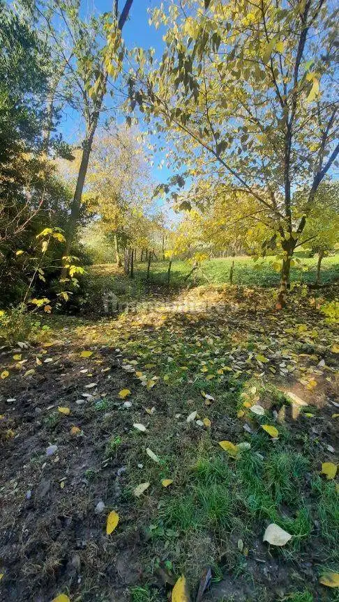 Rifugio via Ca' Orologio, Baone - foto 4