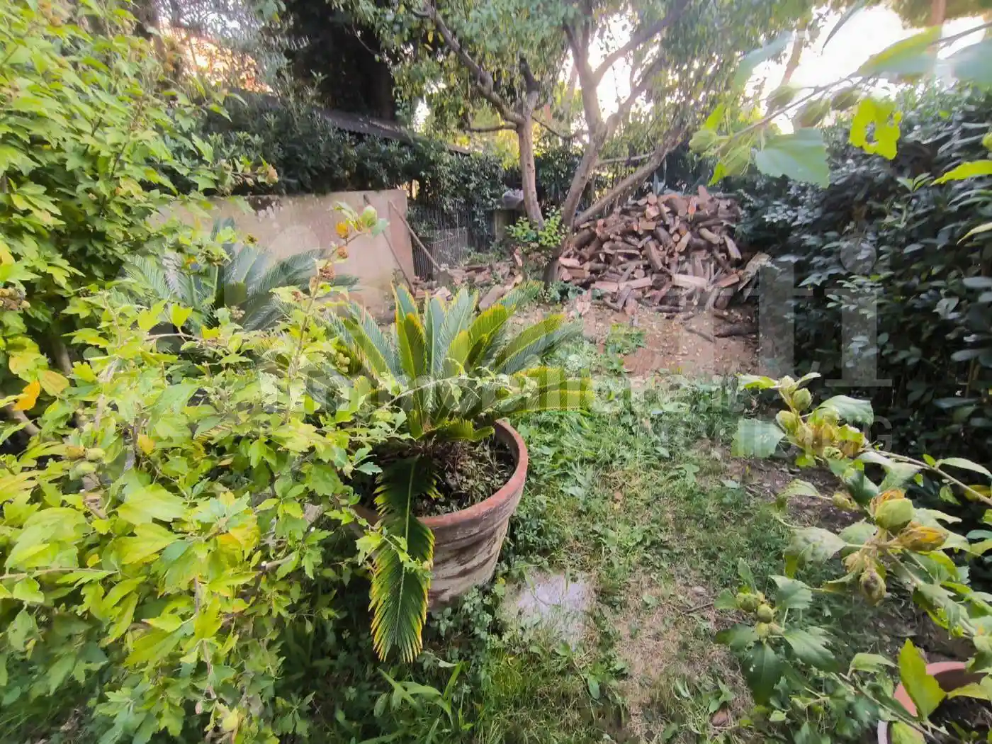 Trilocale via Monte Serra, San Luigi, Capannino, Corti Nuove, Follonica - foto 2