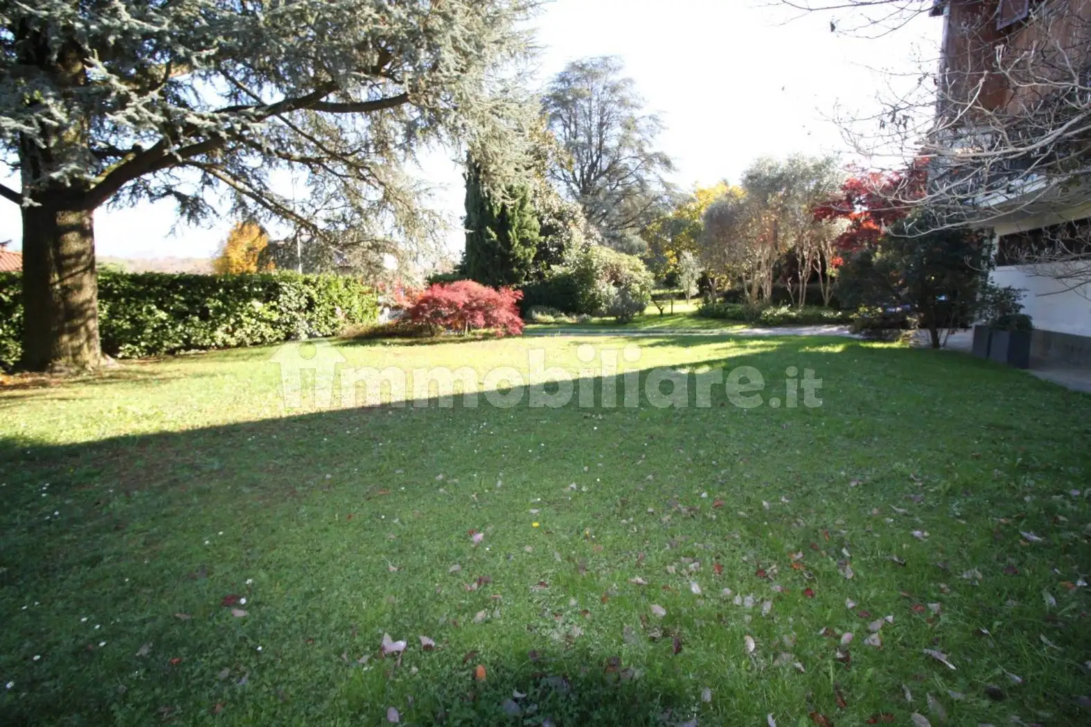 Villa unifamiliare via delle Betulle, Centro, Anzano del Parco - foto 5