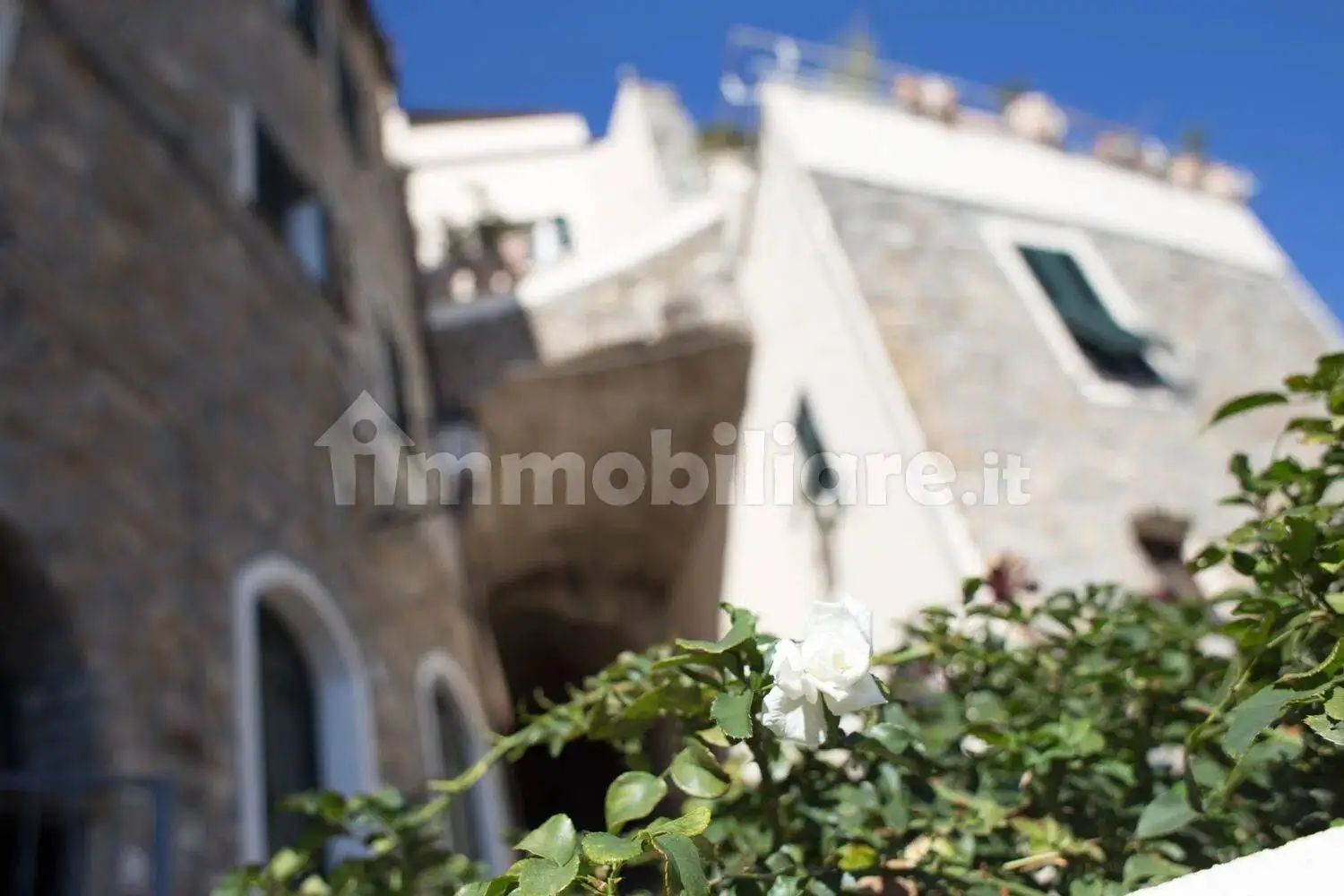Appartamento in vendita a Cipressa