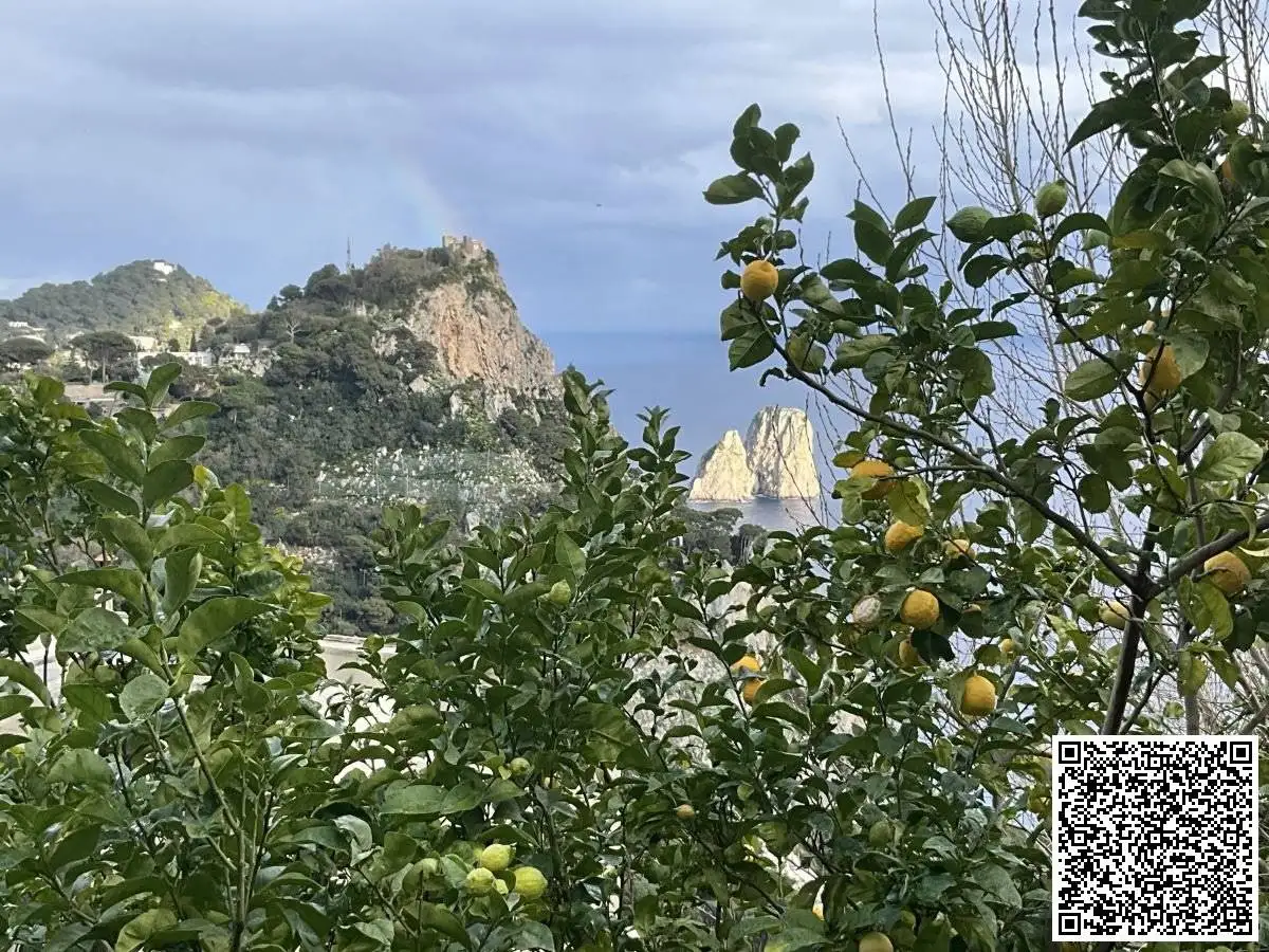 Villa in vendita a Capri