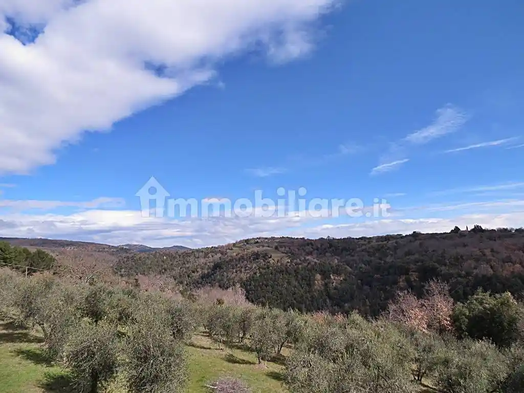 Rustico - Casale in vendita a Orvieto