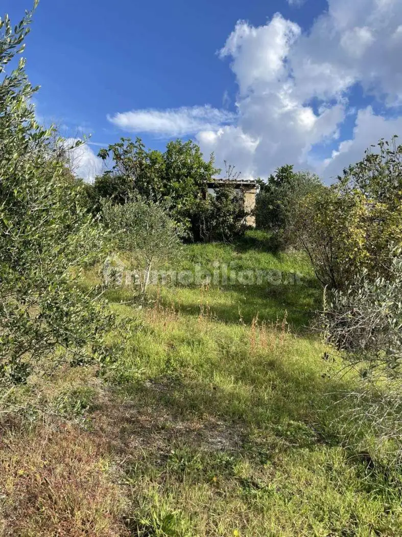 Rustico 40 m², Arlena di Castro - foto 2