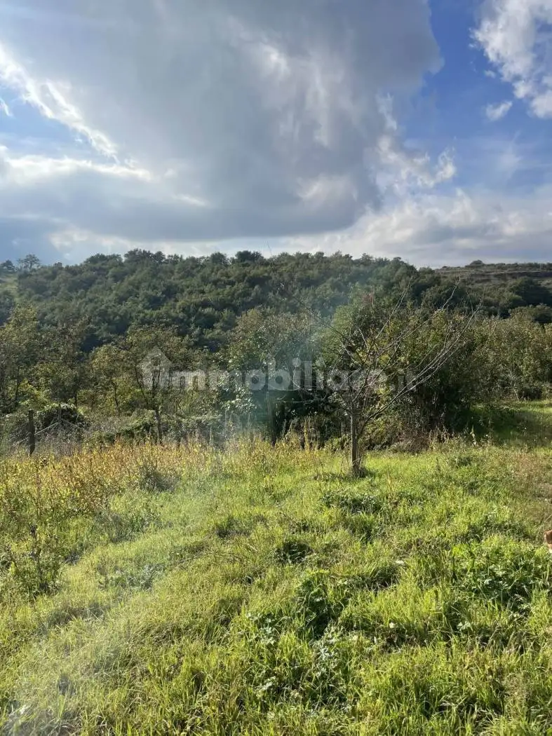 Rustico 40 m², Arlena di Castro - foto 5