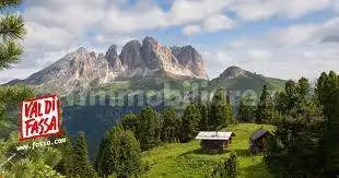 Palazzo - Edificio in Vendita - foto 4